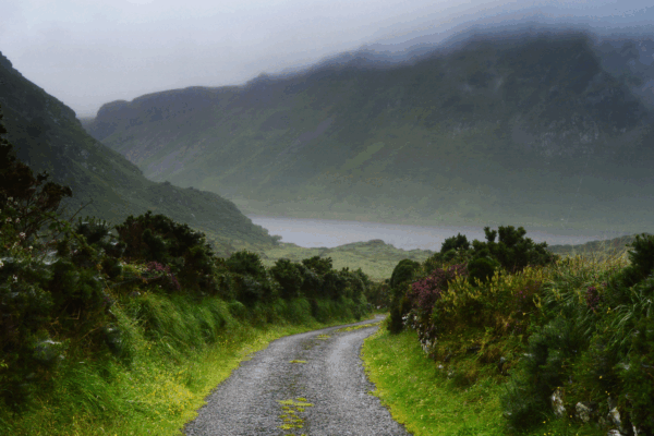 Path between mountains that leads into foggy background
