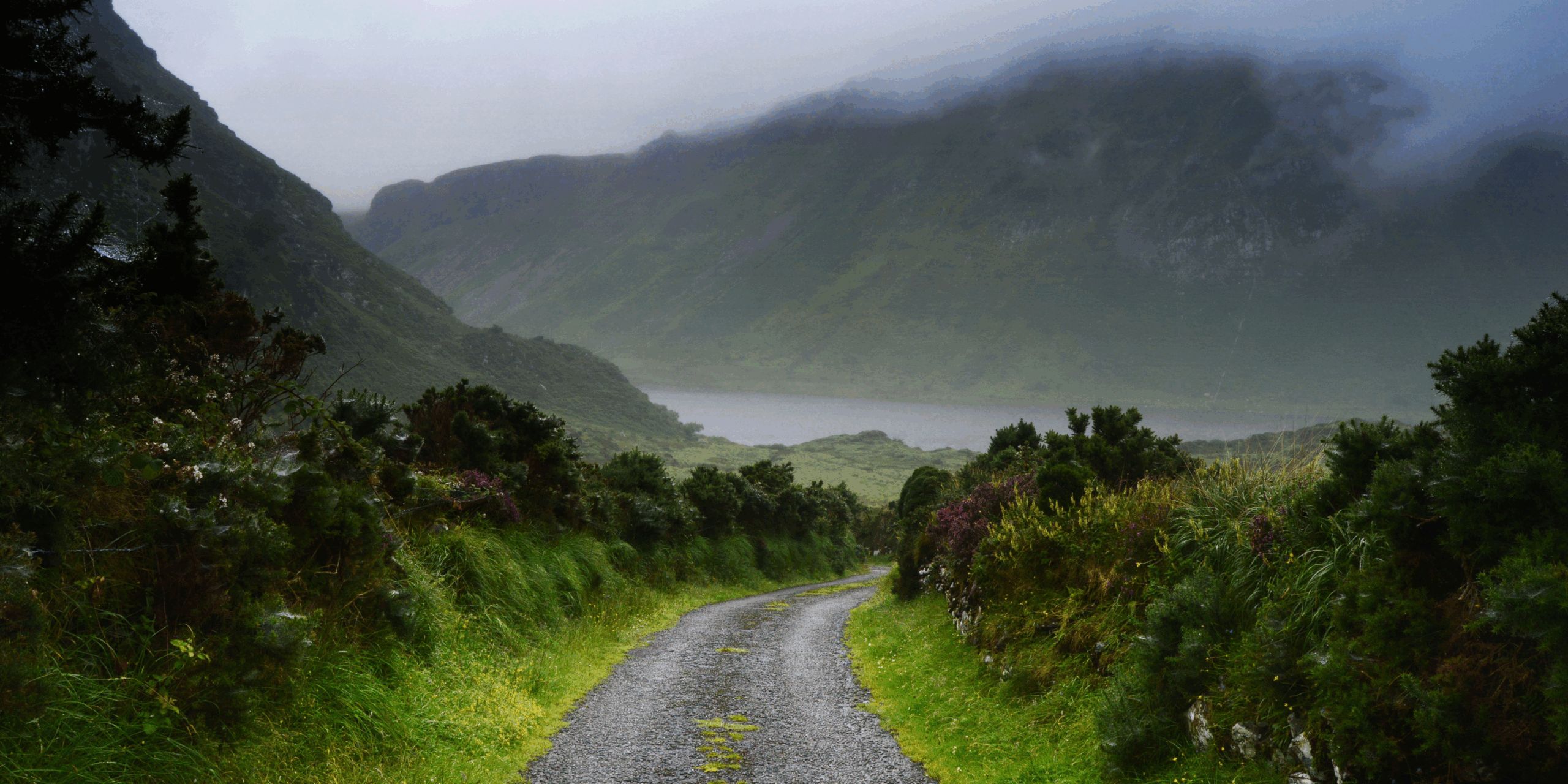 Path between mountains that leads into foggy background